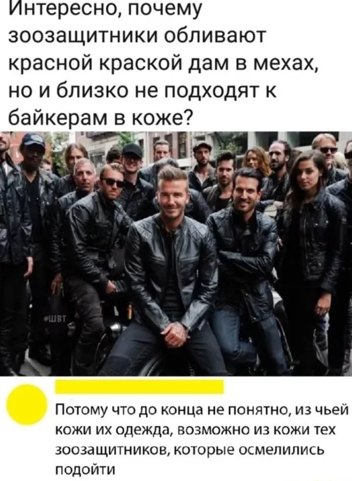 нтересно почему зоозащитники обливают красной краской дам в мехах но и близко не подходят к байкерам в коже Потому что до конца не понятно из чьей кожи их одежда возможно из кожи тех зоозащитников которые осмелились подойти