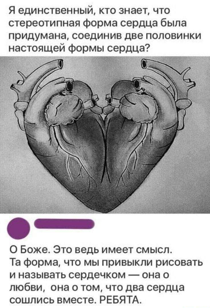Я единственный кто знает что стереотипная форма сердца была придумана соединив две половинки настоящей формы сердца О Боже Это ведь имеет смысл Та форма что мы привыкли рисовать и называть сердечком она о любви она о том что два сердца сошлись вместе РЕБЯТА