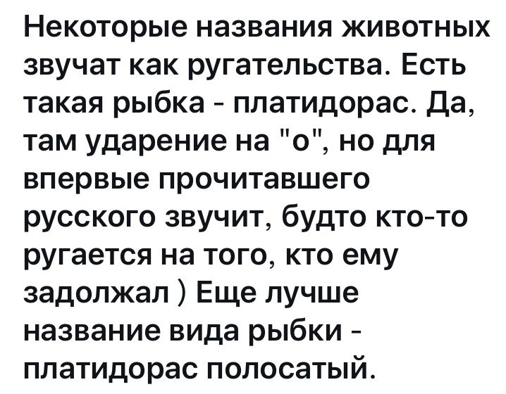 Некоторые названия животных звучат как ругательства Есть такая рыбка платидорас да там ударение на о но для впервые прочитавшего русского звучит будто кто то ругается на того кто ему задолжал Еще лучше название вида рыбки платидорас полосатый