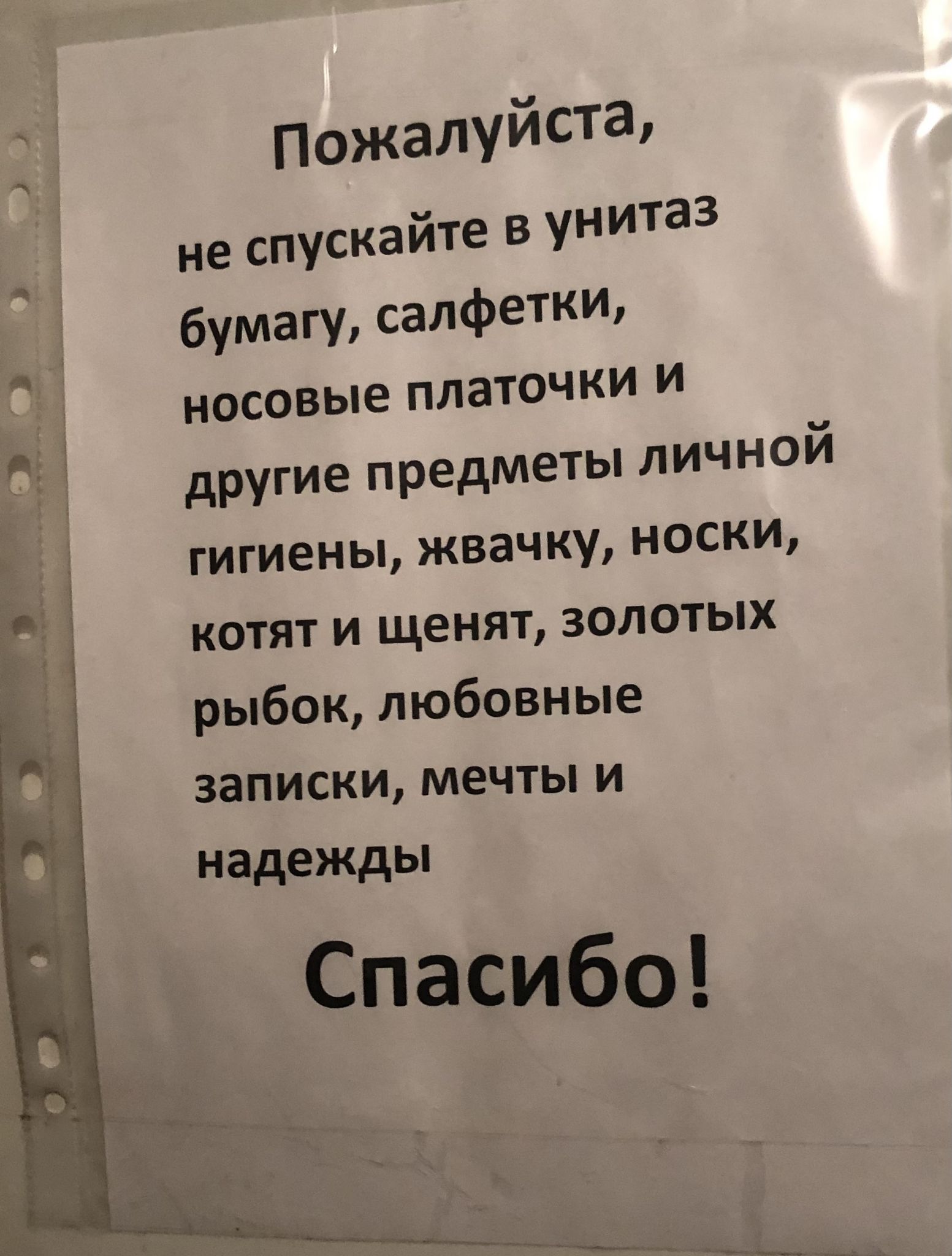 другие предметы личной гигиены жвачку носки котят и щенят золотых рыбок любовные записки мечты и надеЖДы