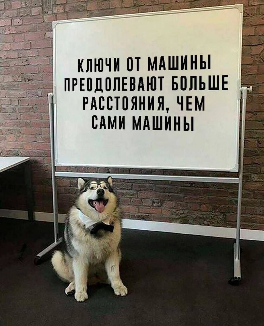 КЛЮЧИ П МАШИНЫ ПРЕПДПЛЕВАЮТ БПЛЬШЕ РАВВТПЯНИЯ ЧЕМ ВАМИ МАШИНЫ
