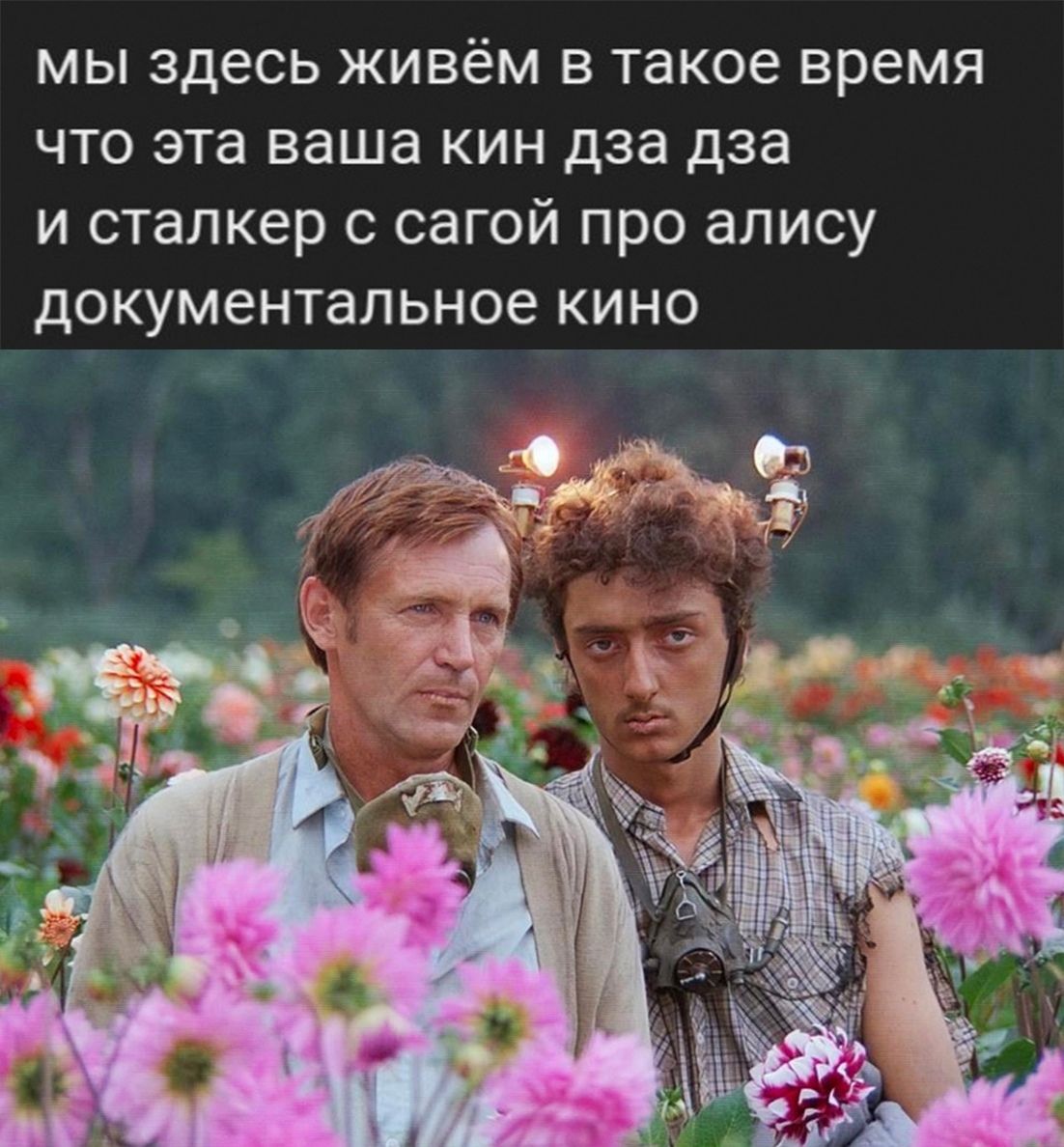 мы здесь живём в такое время что эта ваша кин дза дза и сталкер с сагой про алису документальное кино