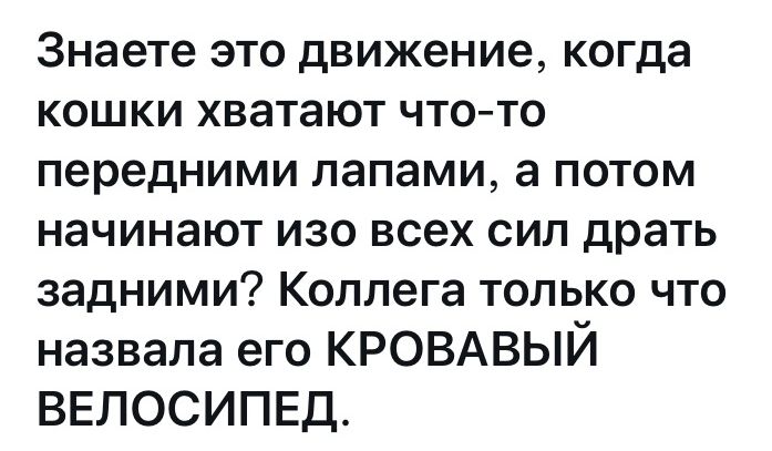Знаете это движение когда кошки хватают что то передними лапами а потом начинают изо всех сил драть задними Коллега только что назвала его КРОВАВЫЙ ВЕЛОСИПЕД