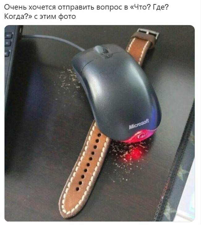 Очень хочется отправить вопрос в Что Где Когда с этим фото