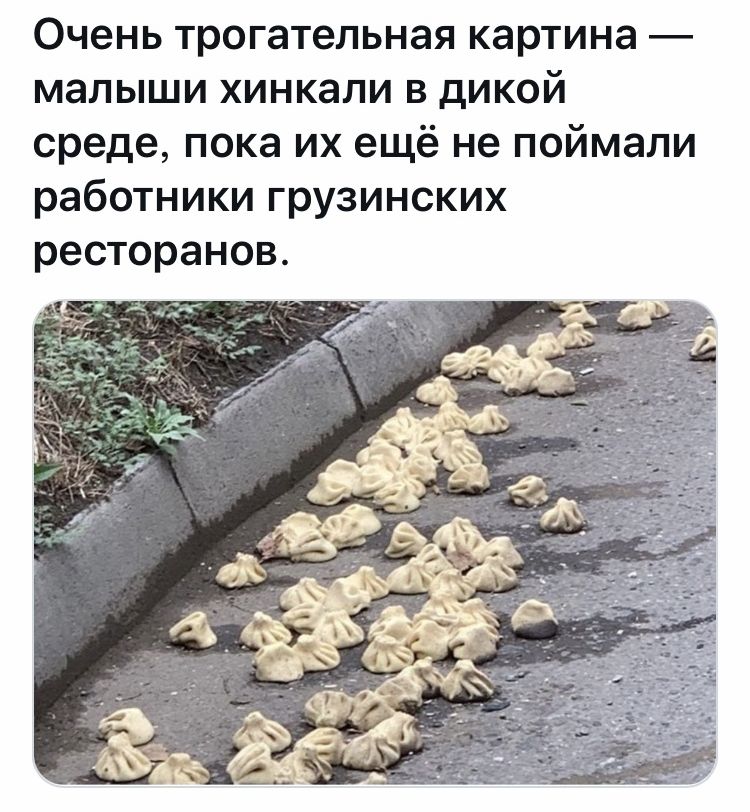 Очень трогательная картина малыши хинкапи в дикой среде пока их ещё не поймали работники грузинских ресторанов