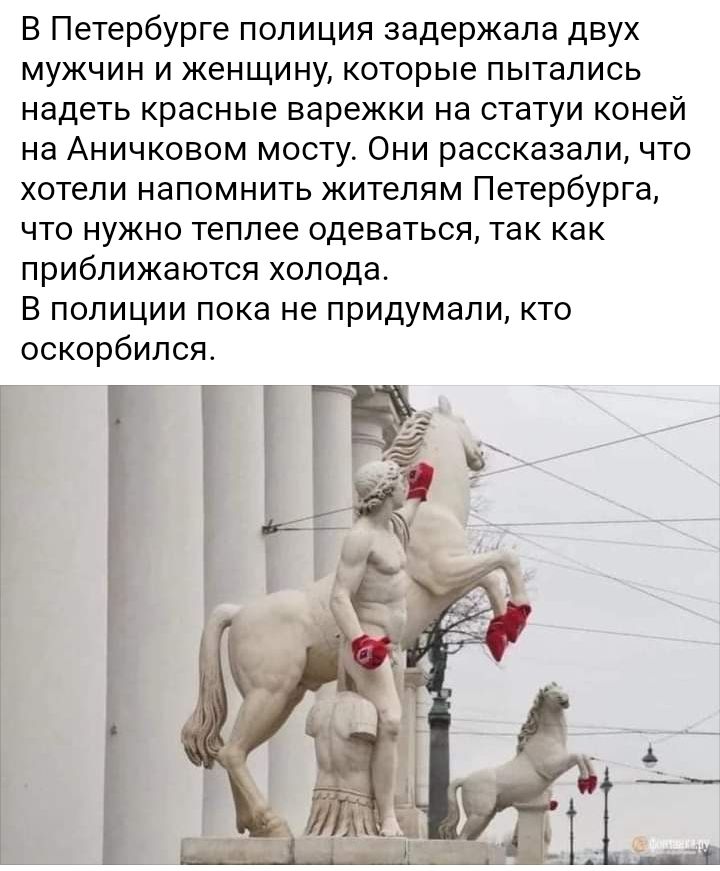 В Петербурге полиция задержала двух мужчин и женщину которые пытались надеть красные варежки на статуи коней на Аничковом мосту Они рассказали что хотели напомнить жителям Петербурга что нужно теплее одеваться так как приближаются холода В полиции пока не придумали кто оскорбился