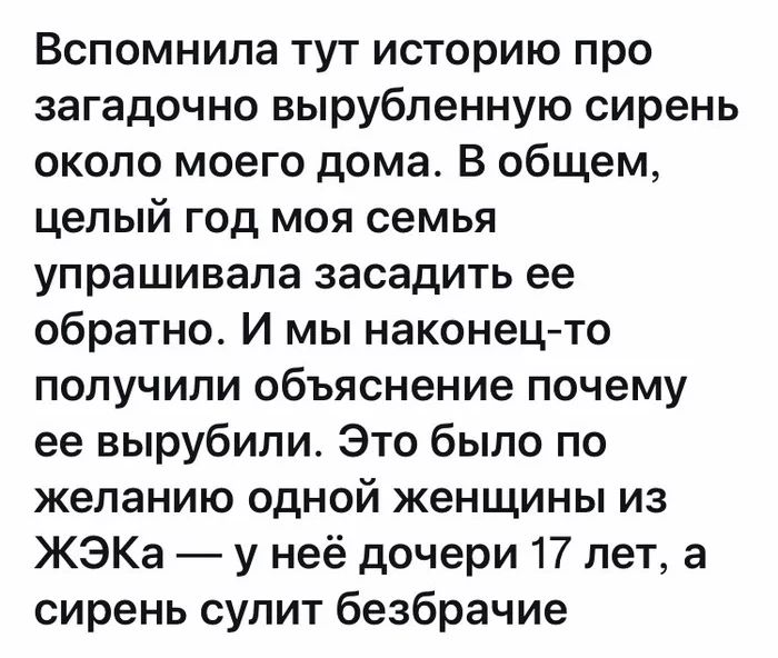 Вспомнила тут историю про загадочно вырубленную сирень около моего дома В общем целый год моя семья упрашивала засадить ее обратно И мы наконецто получили объяснение почему ее вырубили Это было по желанию одной женщины из ЖЭКа у неё дочери 17 лет а сирень сулит безбрачие