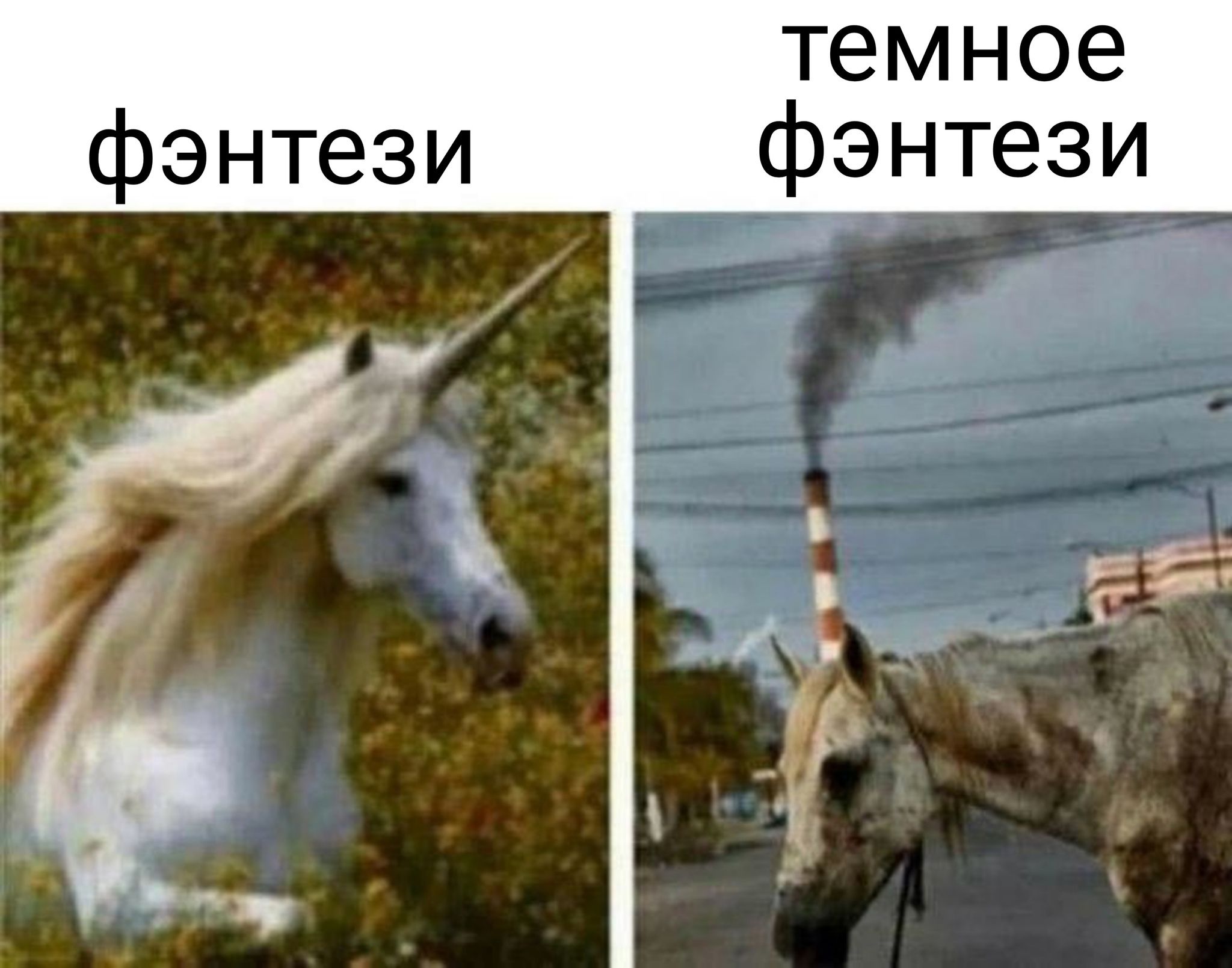 темное фэнтези фэнтези