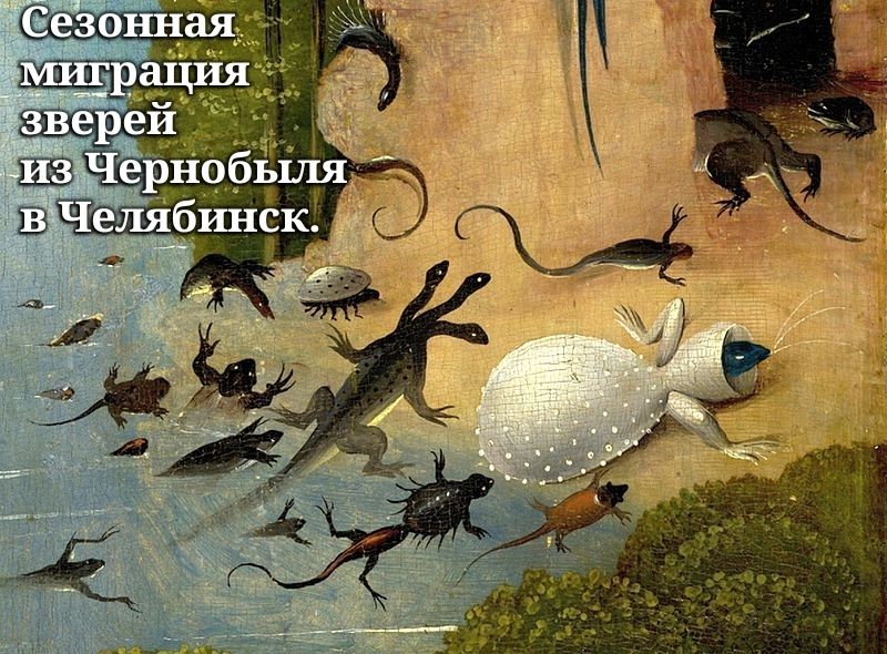 ШчелябршЁкЁ