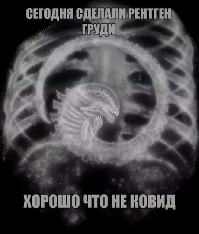 хоюшіі что НЕ навид