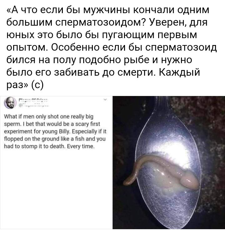 А что если бы мужчины кончали одним большим сперматозоидом Уверен для юных это было бы пугающим первым опытом Особенно если бы сперматозоид бился на полу подобно рыбе и нужно было его забивать до смерти Каждый раз С г нп шыш теп опіу 5По опе геаПу ш врегт Ьеі Ьа МОЦШ Ье а всагу ПГЗ ехрептеп ог уоипу Ву ЕзрешаНу п Порреб оп те цгоипа ПКЕ а П5ч апп уои Пао о зіотр и 0 без Еуггу ите