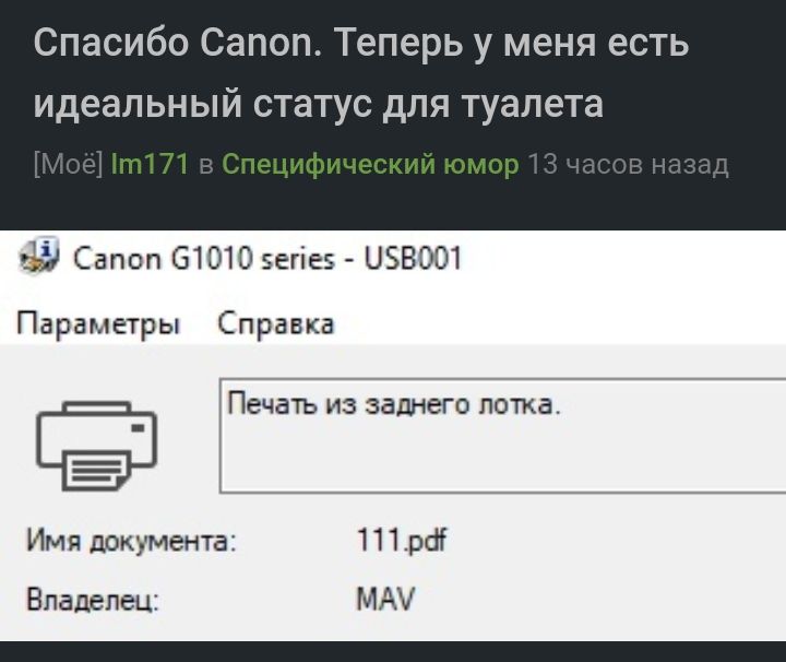 Спасибо Сапоп Теперь у меня есть идеальный статус для туалета 5111171 Пе 1 из Сапоп 31010 5егіе5 055001 Параметры Справка Печать из заднего лотка Имя документа 111рсН Владелец МАУ