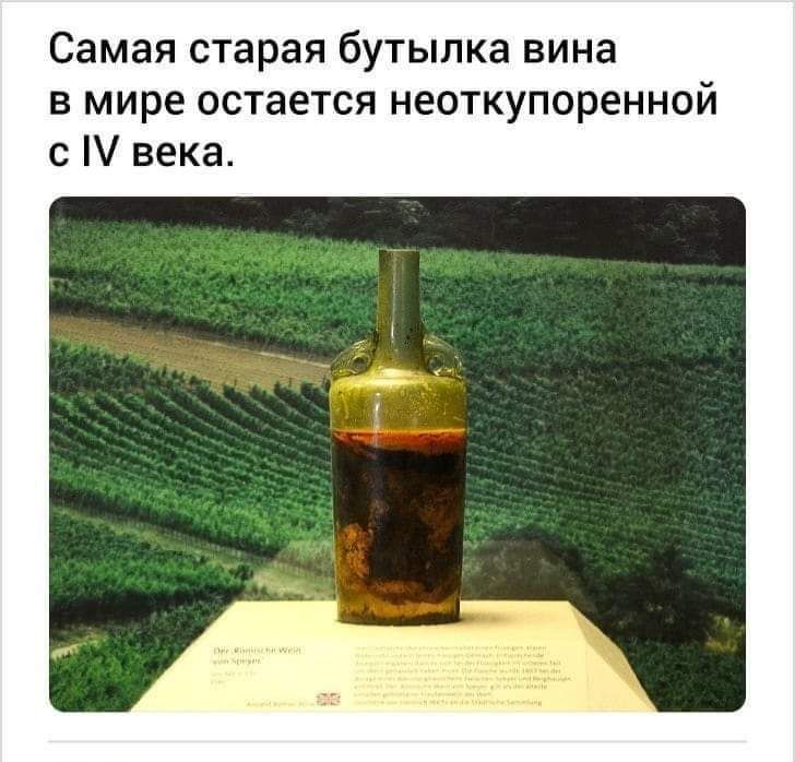 Самая старая бутылка вина в мире остается неоткупоренной с века