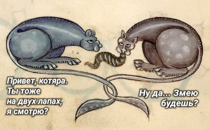 Ты тоже