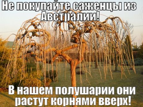 В нашем ПВЛУШЗПИИ 0И ПЯСПП КППНЯМИ ВВВ