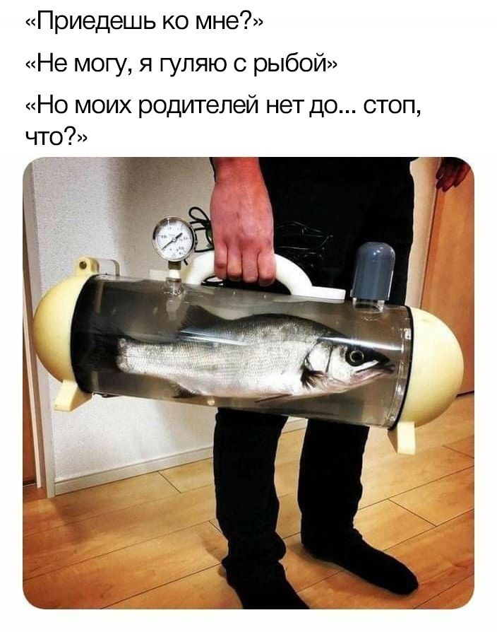Приедешь ко мне Не могу я гуляю с рыбой Но моих родителей нет до стоп