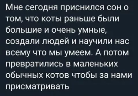 Мне сегодня приснился сон о том что коты раньше были большие и очень умные создали людей и научили нас всему что мы умеем А потом превратились в маленьких обычных котов чтобы за нами присматривать