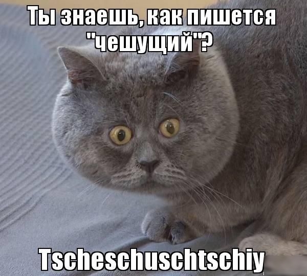 ТББПЁЁЁЙЁЫЗЧЁЁЁ __