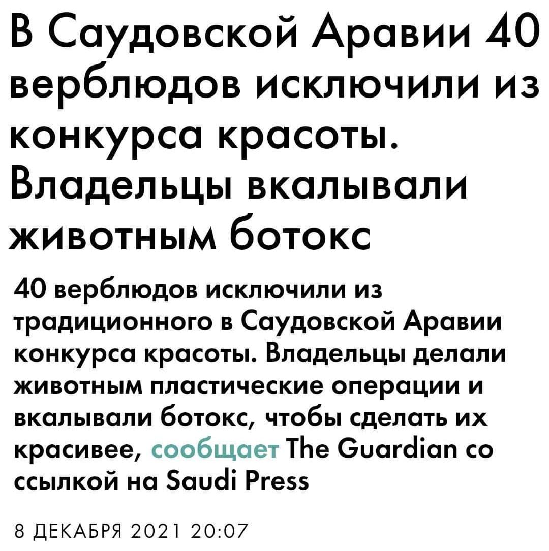 В Саудовской Аравии 40 верблюдов исключили из конкурса красоты Владельцы вкалывали животным ботокс 40 верблюдов исключили из традиционного в Саудовской Аравии конкурса красоты Владельцы делали животным пластические операции и вкалывали ботокс чтобы сделать их красивее сообщает ТЬе Сиагаіап со ссылкой на Заиаі Рге 8 ДЕКАБРЯ 2021 2007