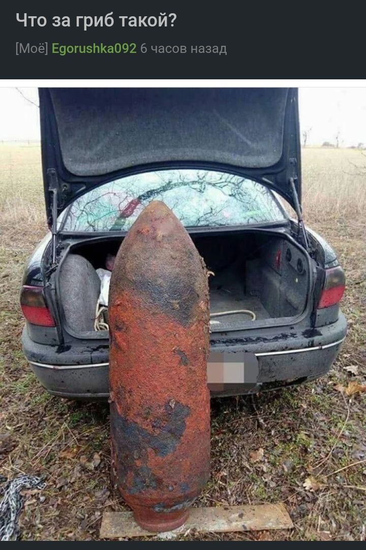 Что за гриб такой от 17