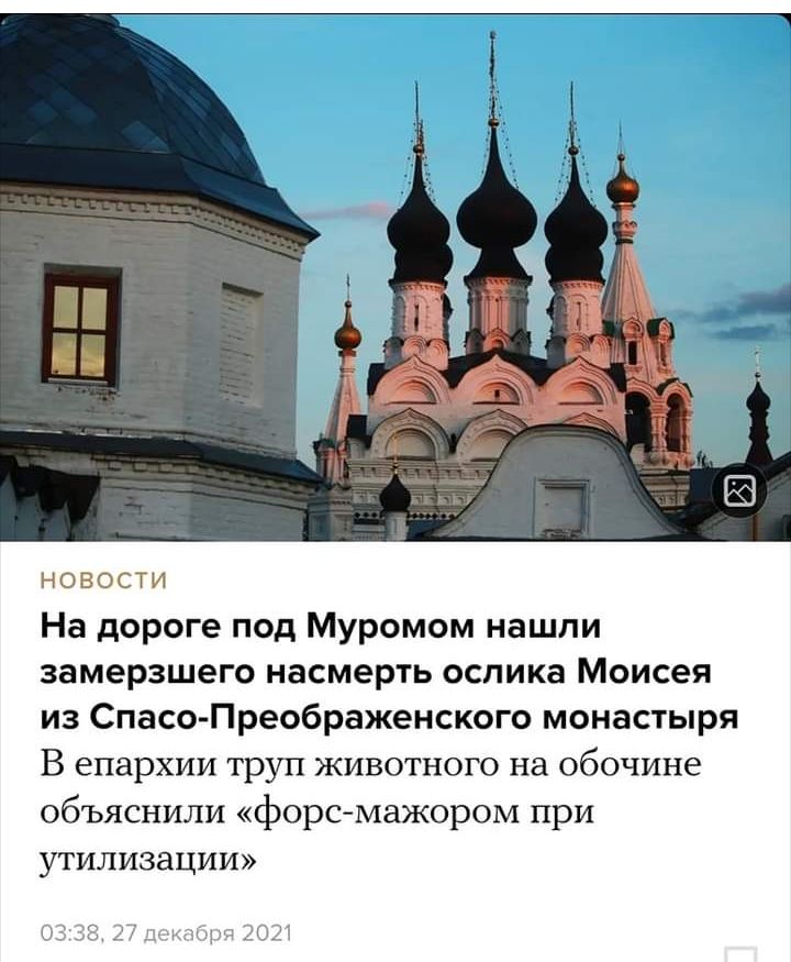 НОВОСТИ На дороге под Муромом нашли замерзшего насмерть ослика Моисея из Спаса Преображенского монастыря В епархии труп животного на обочине объяснили форсмажором при утилизации