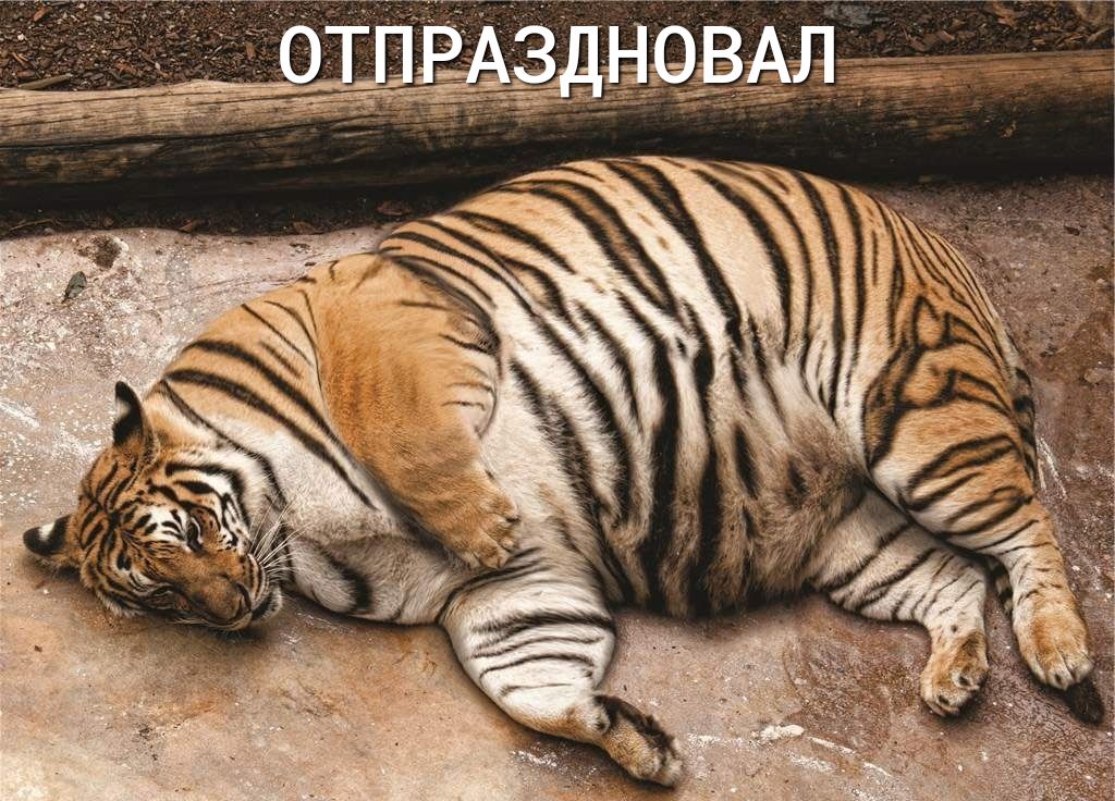 Ё;;твднэвдл