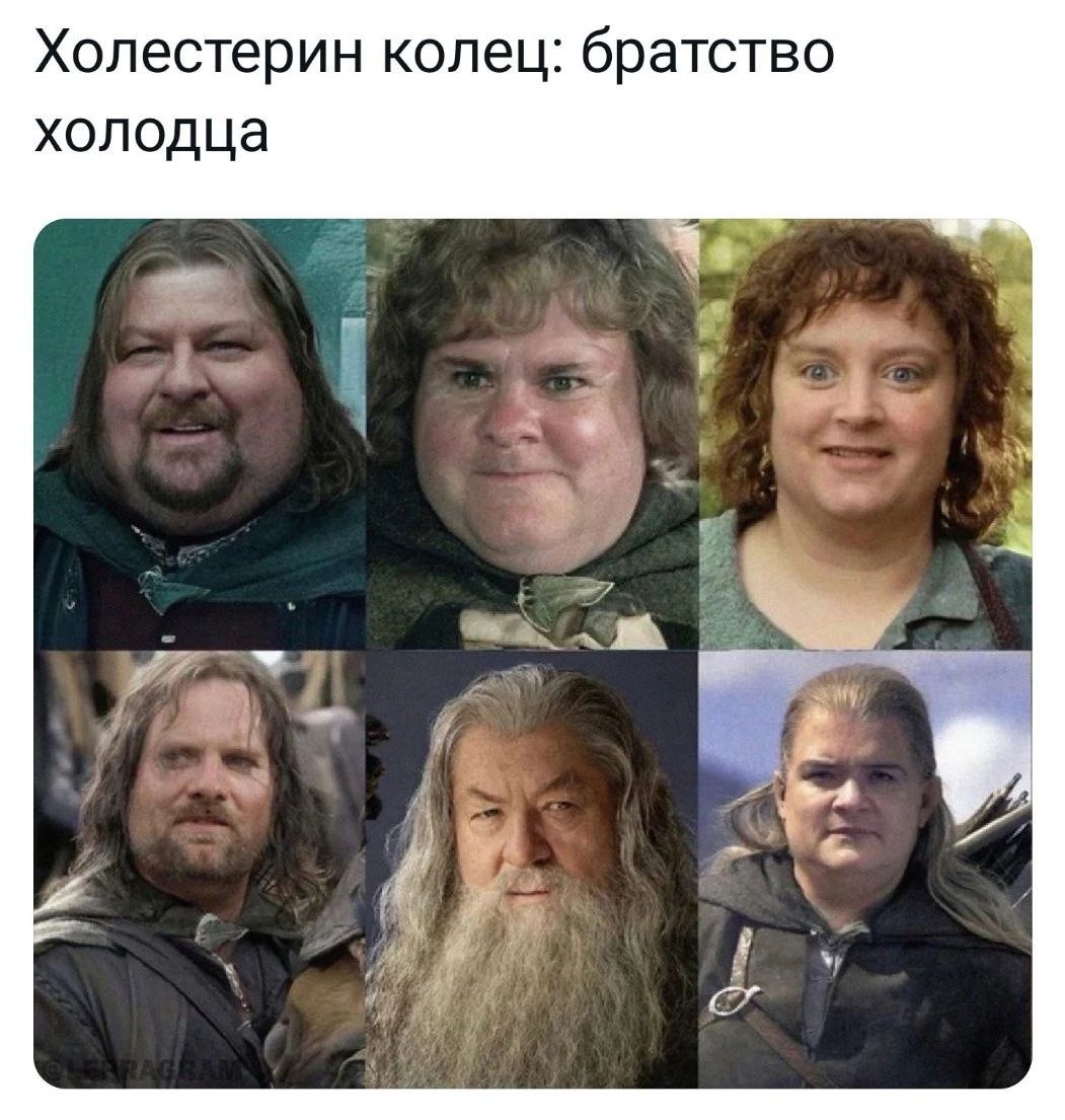 Холестерин колец братство холодца