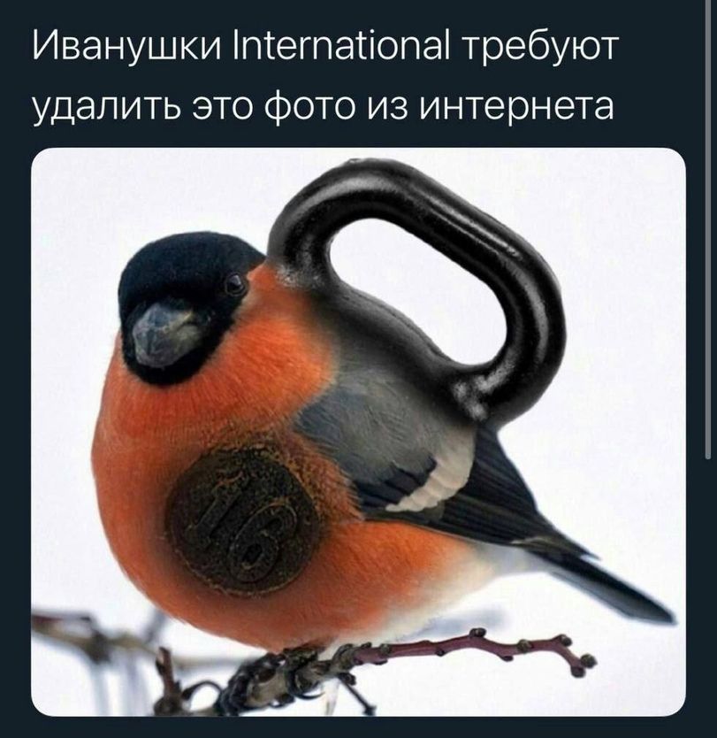Иванушки інтегпатіопаі требуют удалить это фото из интернета