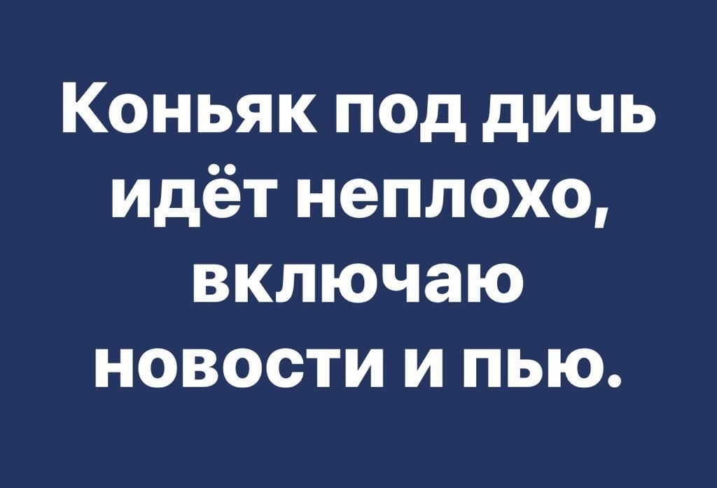 Коньяк под дичь идёт неплохо включаю новости и пью