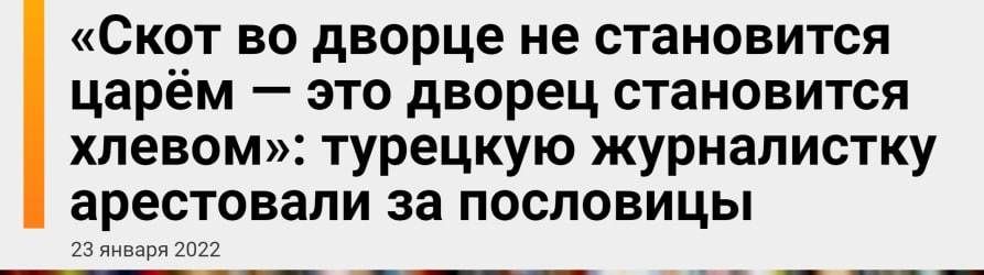 Скот во дворце не становится царём это дворец становится хлевом турецкую журналистку арестовали за пословицы 23 января 2022