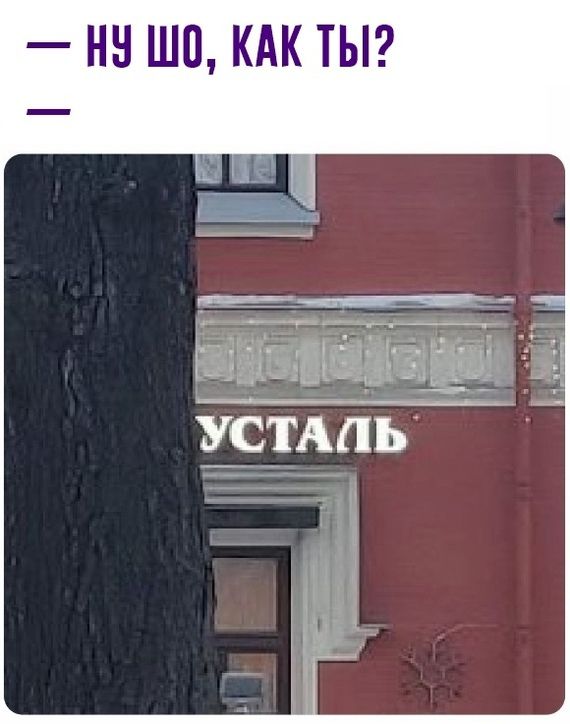 НН ШП КАК ТЫ