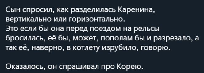 Сын спросил как разделилась Каренина вертикально или горизонтально Это если бы она перед поездом на рельсы бросилась её бы может пополам бы и разрезала а так её наверно в котлету изрубило говорю Оказалось он спрашивал про Корею