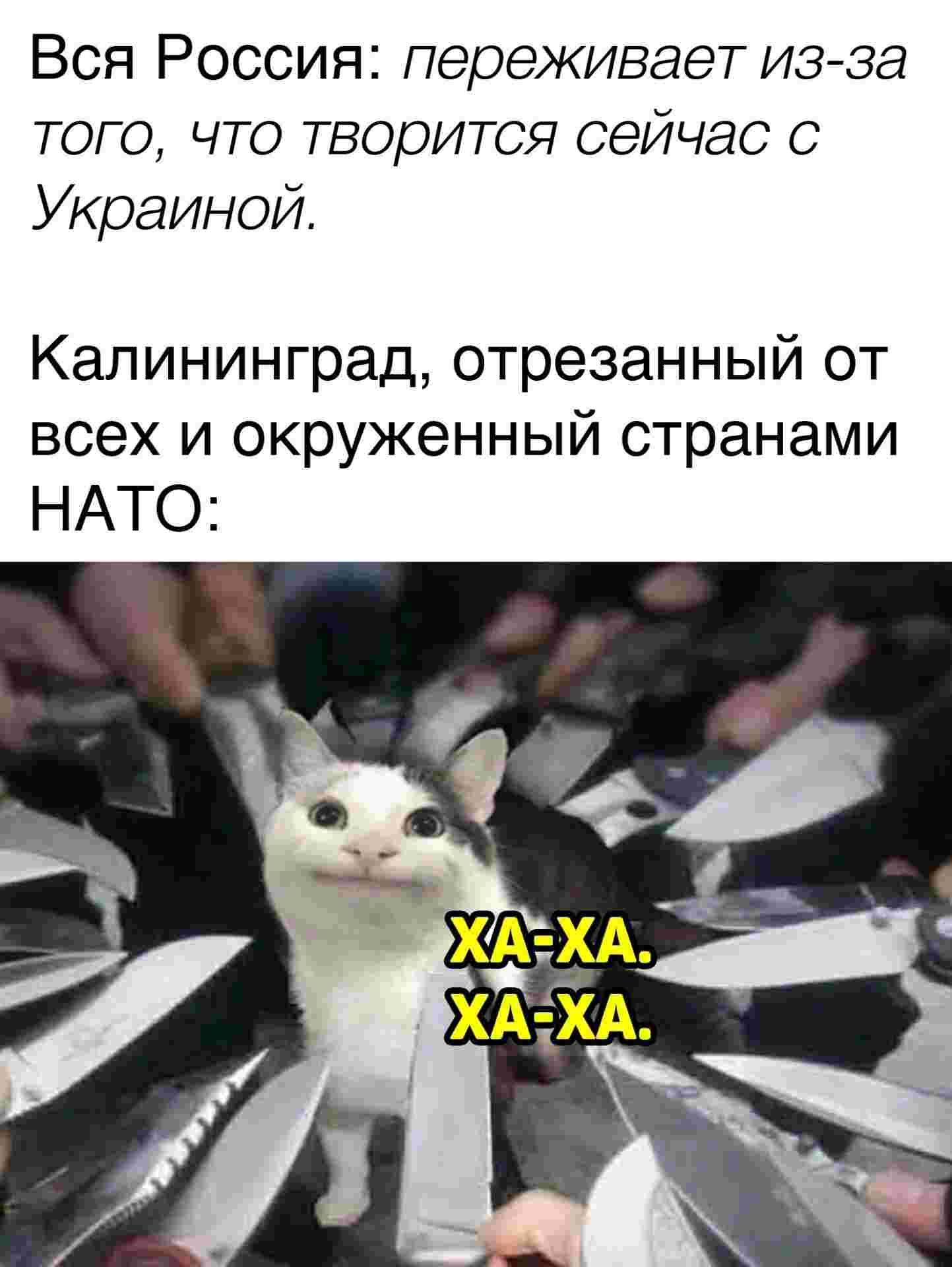 Вся Россия переживает из за того что творится сейчас с Украиной Калининград отрезанный от всех и окруженный странами НАТО