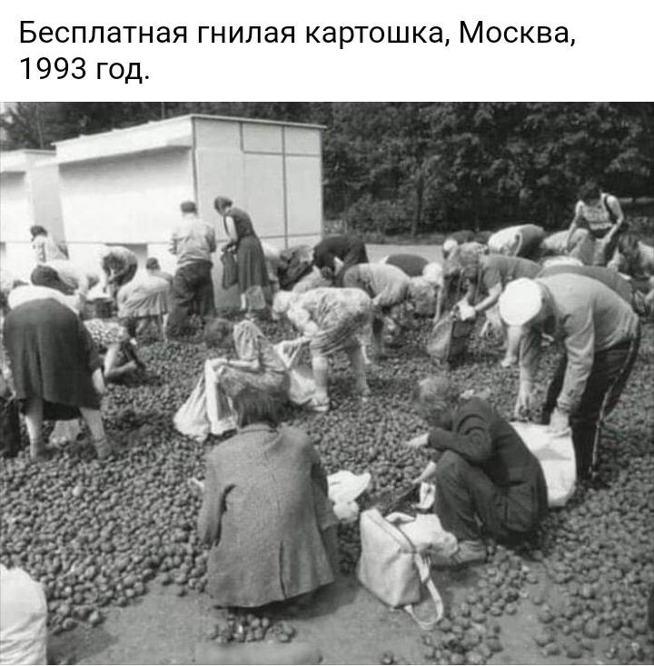 Бесплатная гнилая картошка Москва 1993 год