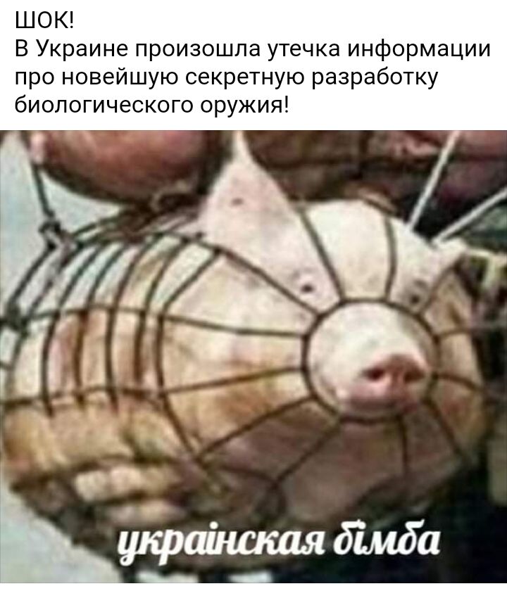 ШОК В Украине произошла утечка информации про новейшую секретную разработку биологического оружия