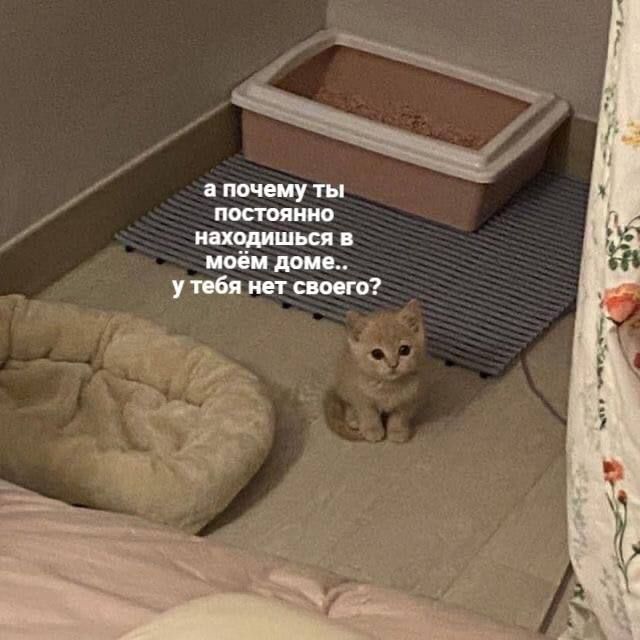 и а почемуты находишься иоёи доп ут бя нищего