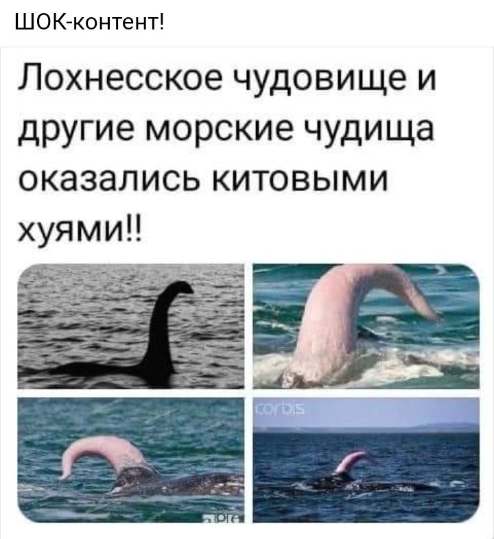 ШОКконтент Лохнесское чудовище и другие морские чудища оказались китовыми хуями