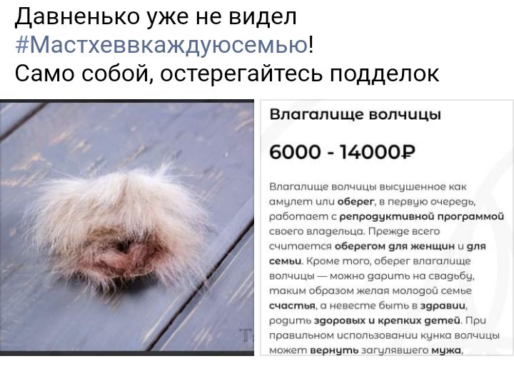 Давненько уже не видел Мастхеввкаждуюсемью Само собой остерегайтесь подделок Влагалище ВОЛЧЦЦЫ 6000 140009 Влагалище волчицы вь сишемное как амулет ШШ Г ПЭРВШО очереэн работает с репроууктцвицй программой своего вло9епьцп Прежве всего считается оборотом для шыш и яиц семьи Кроме того оберег влагалище волчицы _ можно варить на свиоиби таким образом желая железой семье счаст о невесте быть царапин в