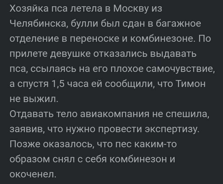 Хозяйка пса летела в Москву из Челябинска булли был сдан в багажное отделение в переноске и комбинезоне По прилете девушке отказались выдавать пса ссылаясь на его плохое самочувствие а спустя 15 часа ей сообщили что Тимон не выжил Отдавать тело авиакомпания не спешила заявив что нужно провести экспертизу Позже оказалось что пес какимто образом снял с себя комбинезон и окоченел