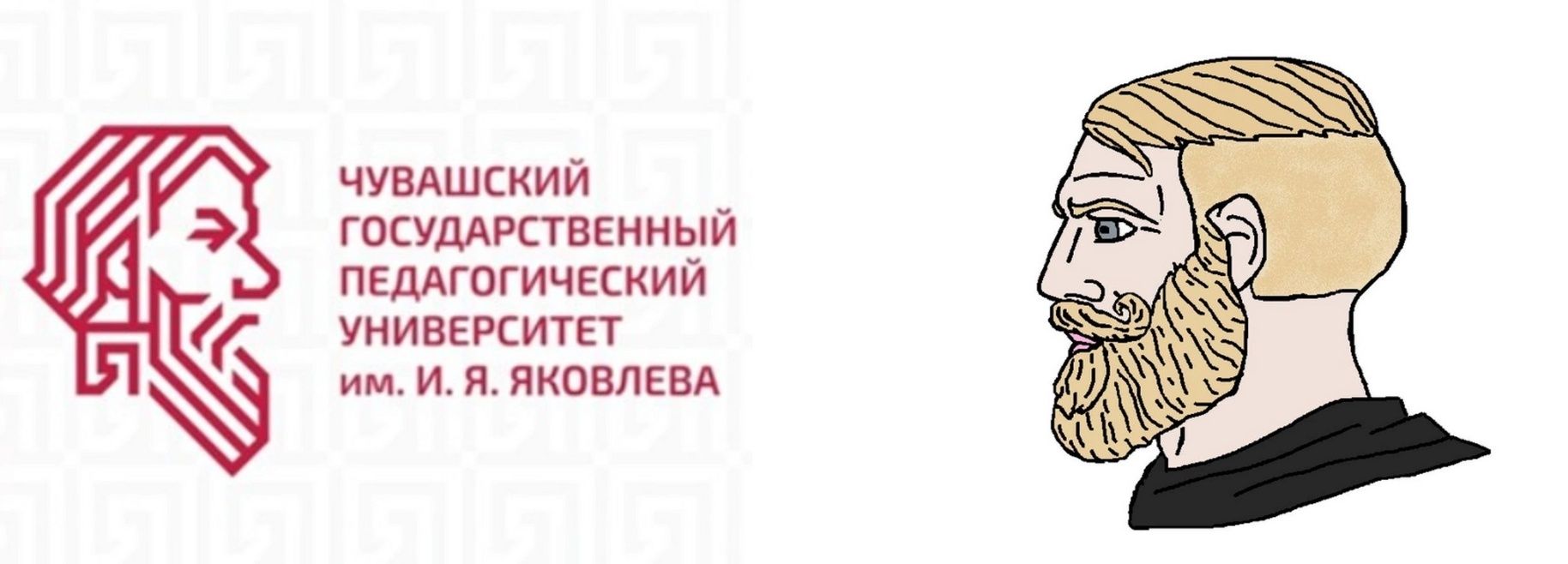 ЧУВАШСКИЙ госуддрстввнный педАгогический университет им И Я ЯКОВЛЕВА