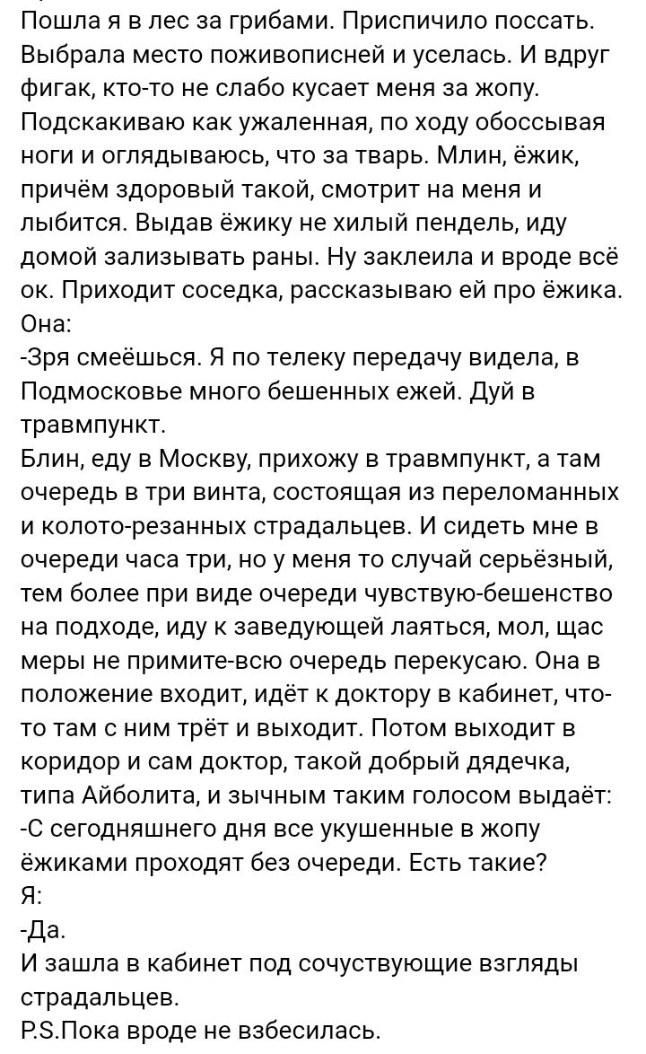 Пошла я в лес за грибами Приспичило поссать Выбрала место поживолисней и уселась И вдруг Фигак ктото не слабо кусает меня за копу Подскакиваю как ужаленная по ходу обоссывая ноги и оглядываюсь что за тварь Мпин ежик причем здоровый такой смотрит на меня и лыбится Быдав жику не хилый пендепь иду домой зализывать раны Ну аакпеипа и вроде все ок Приходит соседка рассказываю ей про ежика Она Зря смееш