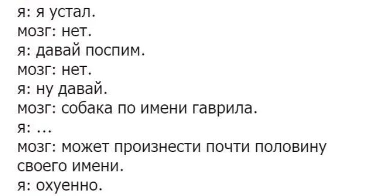 я я устал мозг нет я давай поспим мозг нет я ну давай мозг собака по имени гаврила Я мозг может произнести почти половину своего имени я охуенно
