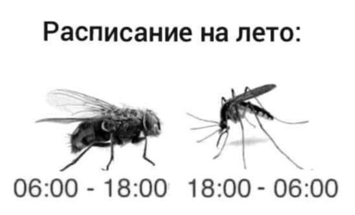 Расписание на лето да 0600 1800 1800 0600