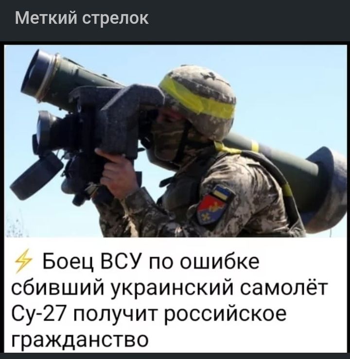 Меткий стрелок Боец ВСУ по ошибке сбивший украинский самолёт Су 27 получит российское гражданство