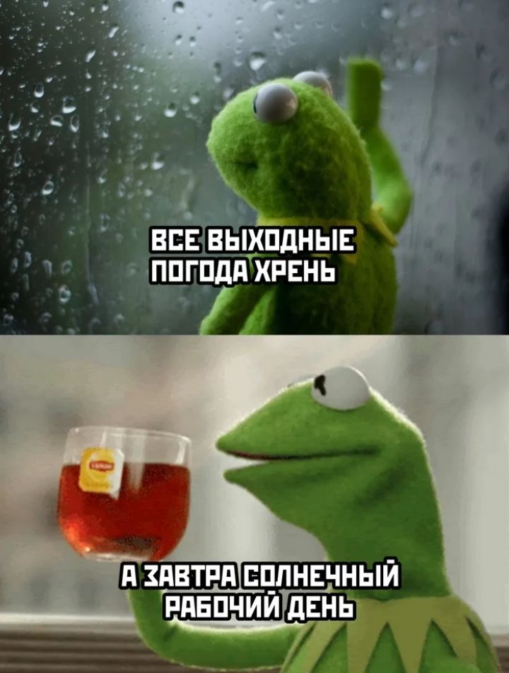 __ ВСЕ ВЬШПДНЫЕ ППГПДП ХРЕНЬ П ЗАВТРА ПППНЕЧНЫЙ ппвпчий день __ _в_ _