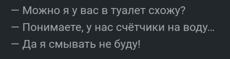 Можно я у вас в туалет схожу Понимаете у нас счётчики на воду да я смывать не буду