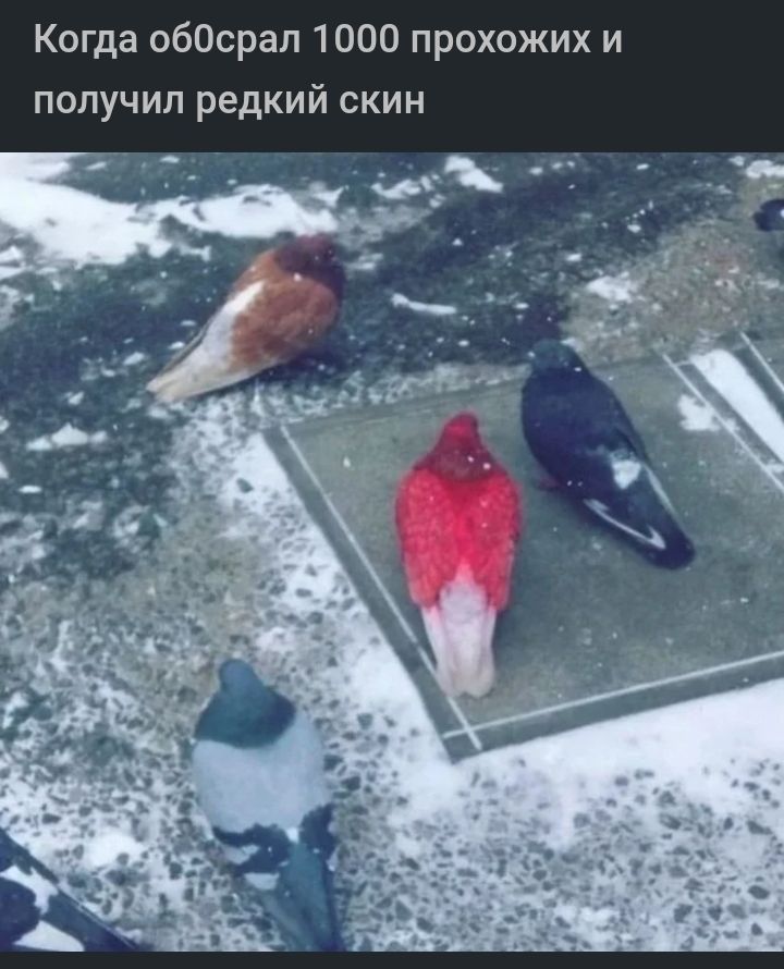 Когда обОсрап 1000 прохожих и получил редкий скин