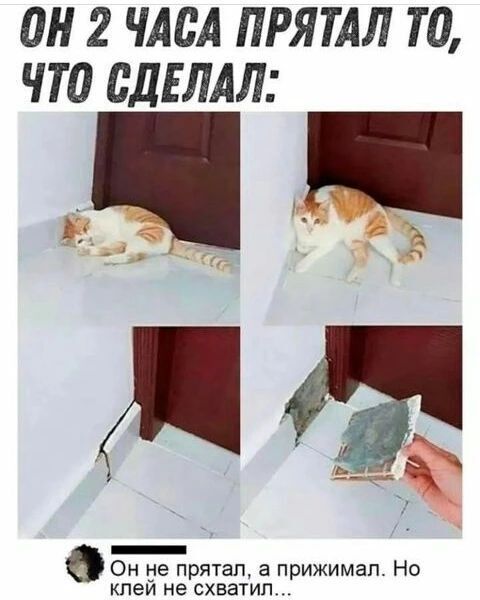 дн 2 ЧАСА ПРЯТАЛ ТО ЧТО СДЕЛАЛ