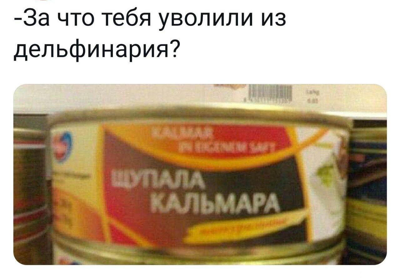 За что тебя уволили из депьфинария іч шт