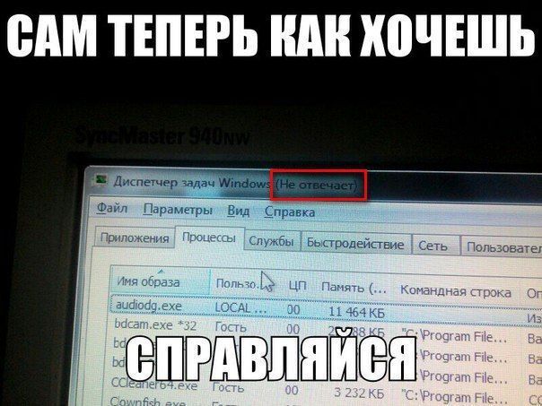 ВАМ ТЕПЕРЬ ШШ ШЧЕШЬ